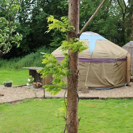 The Yurt At Worcesters Farm 캔터베리 외부 사진